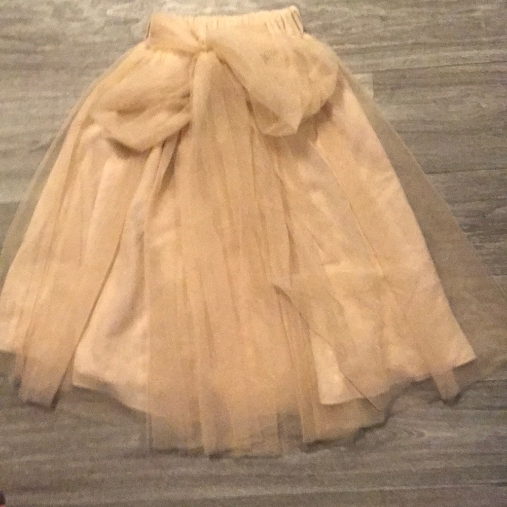 Pale pink tulle skirt